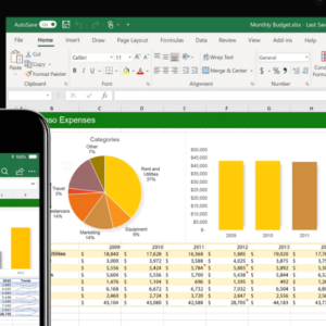 BUSINESS EXCEL & ANALYTICS