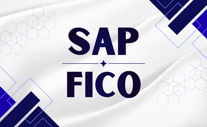 SAP FICO Training Course - Financial Accounting and Controlling ERP Program