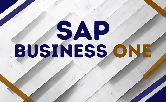 SAP Business One (SAP B1) ERP Training Course by Business Intelligence Lab