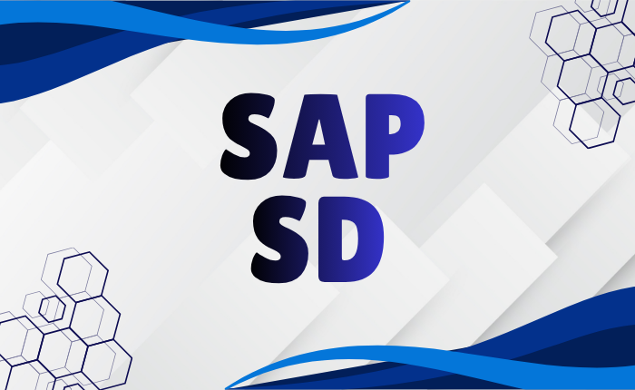 SAP SD Training Course - Sales and Distribution ERP Training